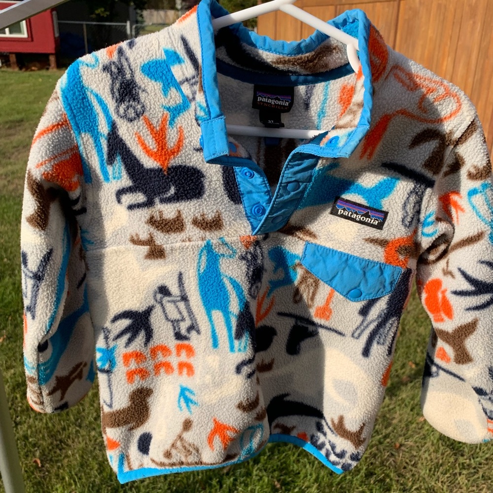 Patagonia fleece pullover